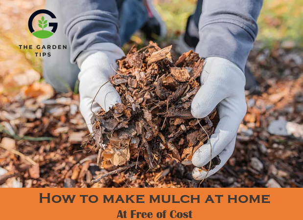How to Make Mulch at Home (Best Tips)