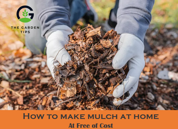 Easy and best way to make mulch at home