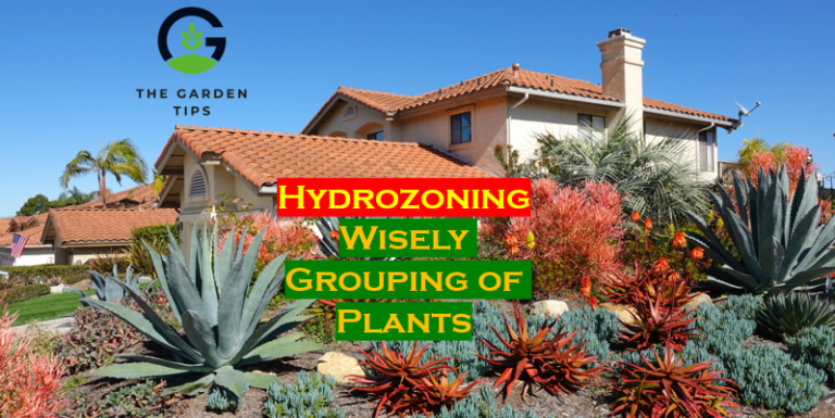 Xeriscaping - Wisely grouping of plant on the basis of water availabiity