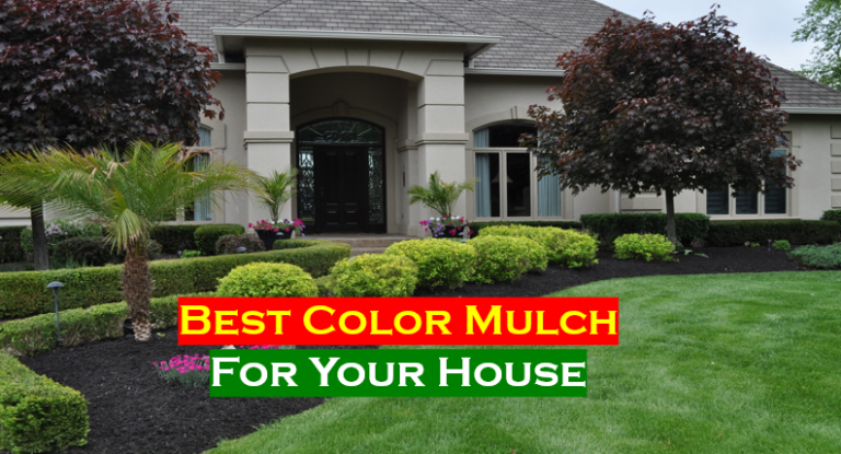 Best color mulches for your home garden