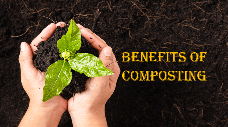 Benefits of Composting, 10 benefits of composting, 2 benefits of composting, 3 benefits of composting, 5 benefits of composting, what are the potential benefits of composting the dead, benefit of coconut compost, benefit of compost, benefit of compost tea, benefit of compost tea research, benefit of compost video, which of the following is not a benefit of composting, which of the following is a benefit of composting, which of the following are benefits of using compost, which is not an environmental benefit of composting quizlet, which is not an environmental benefit of composting, what is the benefit of turning mixing a compost pile, what is the benefit of peat free compost, what is the benefit of composting food wastes brainly, what is the benefit of composting food wastes, what is the benefit of composting,