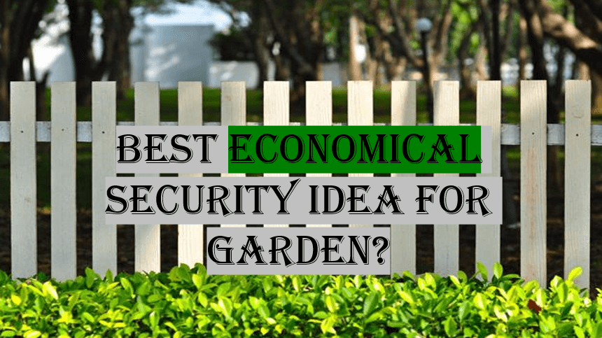 Best Economical Security Idea for Garden