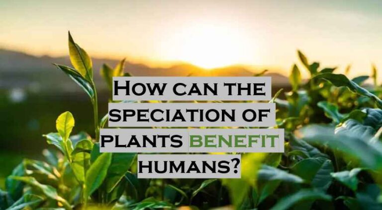 How can the speciation of plants benefit humans? Best Guide