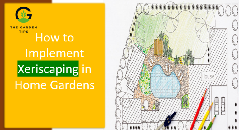 How to implement xeriscaping in home garden