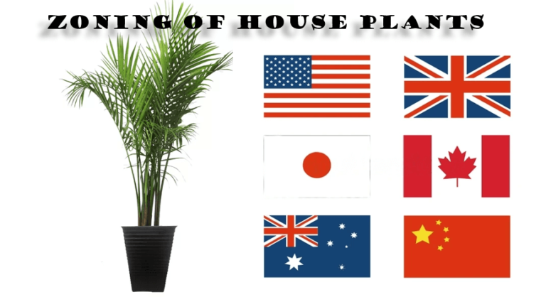 Zoning of House Plants in the USA, UK, Australia, China, Japan and Canada