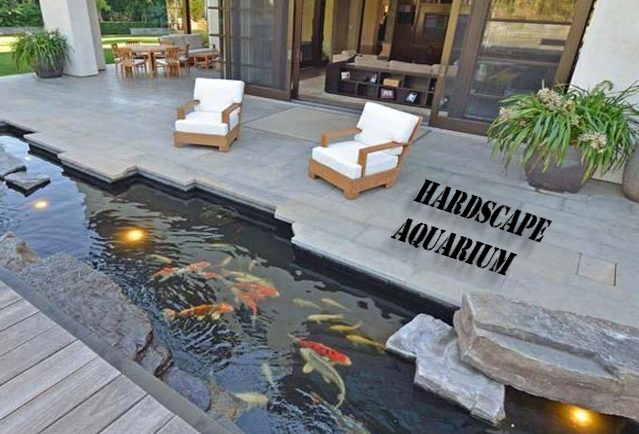 Step-by-Step Guide to Building a Hardscape Aquarium in a Garden